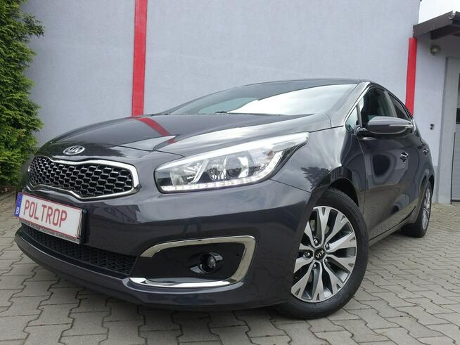 Kia Cee'd 1,4i Navi Klimatronik Alu Android Auto Ledy 1.Właściciel VIP Gwarancja