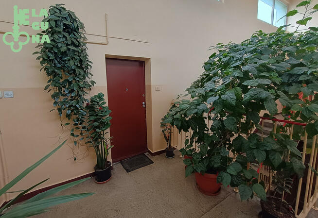 Mieszkanie Kutno, Braci Śniadeckich