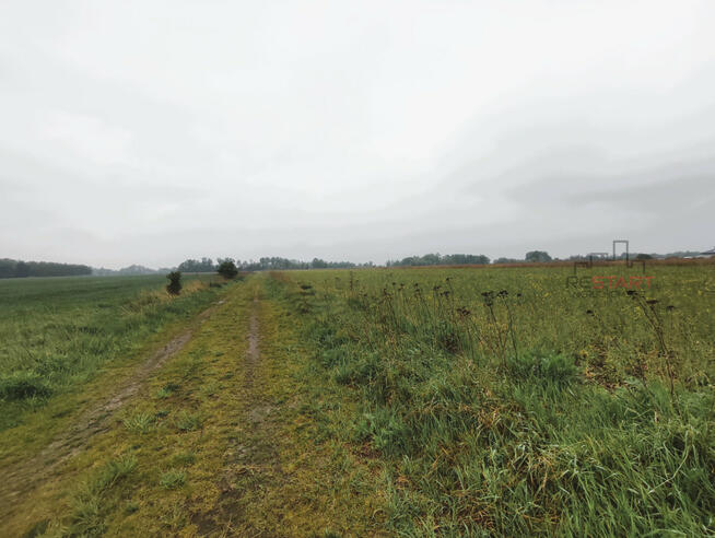 Działka budowlana Nowe Faszczyce gm. Błonie,