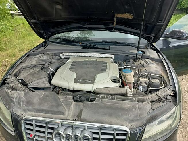 Audi A5 3.0TDI 240 km 07r 4x4