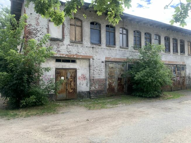 Lokal użytkowy Oława, 3 Maja