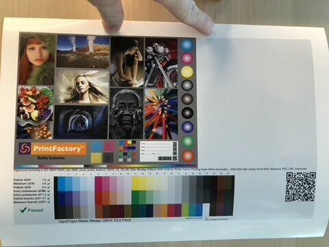 ProofMaster do druku proofingu lic SaaS 1mc Epson SC-P5300