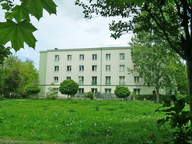 Krzywoustego | 3pok | rozkład | centrum | do remontu | 0% |