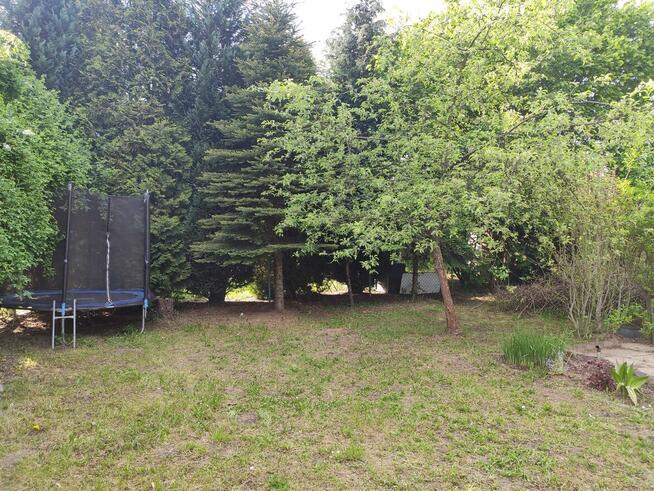 Działka ROD Golikówka Kraków 250 m2 prąd woda
