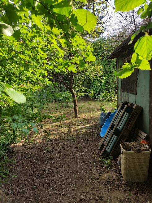 Działka ROD Golikówka Kraków 250 m2 prąd woda