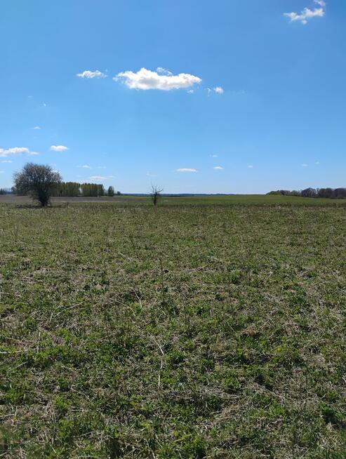 Sprzedam działkę rolną 4,91 ha Woźnice. Gmina Mikołajki.