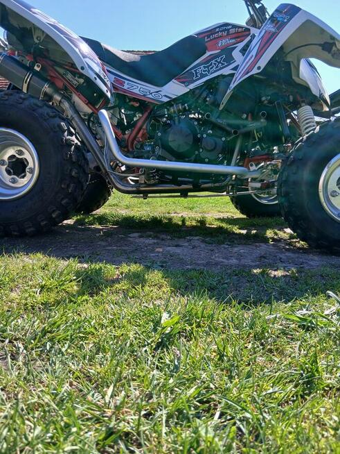 Swap lucky star / kawasaki Z750