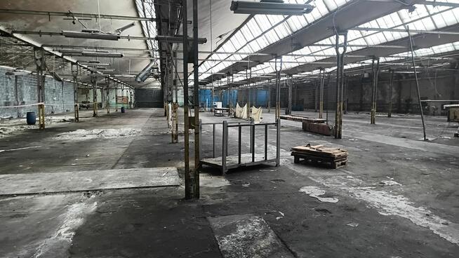 Syndyk sprzeda dwie hale produkcyjne, biuro, magazyn