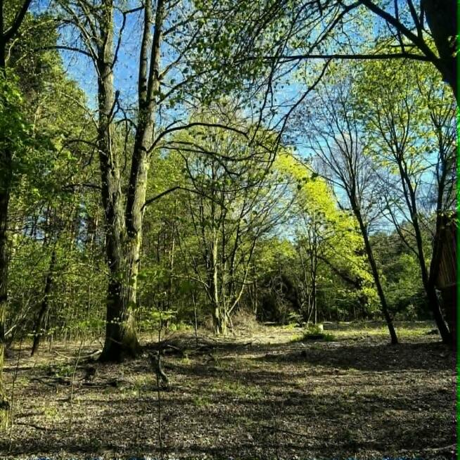 Działka budowlana w lesie z WZ pod dom 7900m