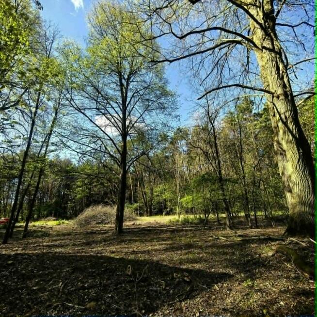 Działka budowlana w lesie z WZ pod dom 7900m