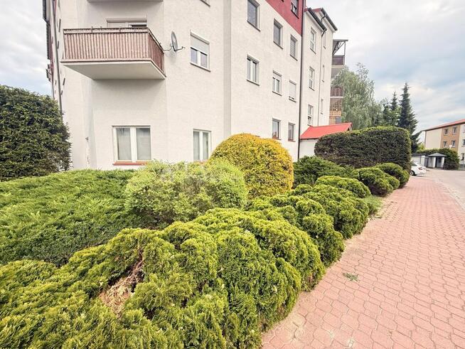 Lokal 101m2 Siedlce, Poznańska