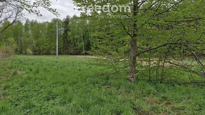 Działka budowlana przy lesie Warmia Mazury