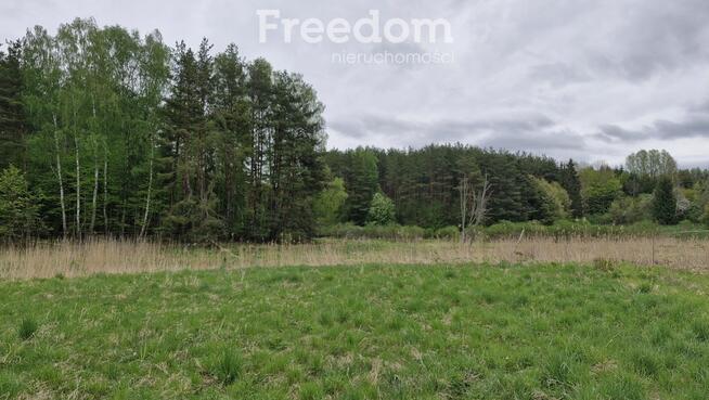 Działka budowlana przy lesie Warmia Mazury