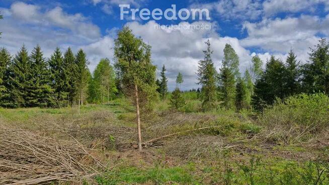 Twoje miejsce ciszy–750m od jeziora Warmia Mazury