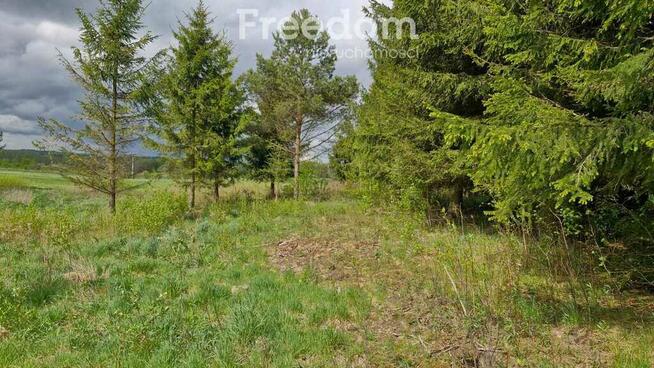 Twoje miejsce ciszy–750m od jeziora Warmia Mazury