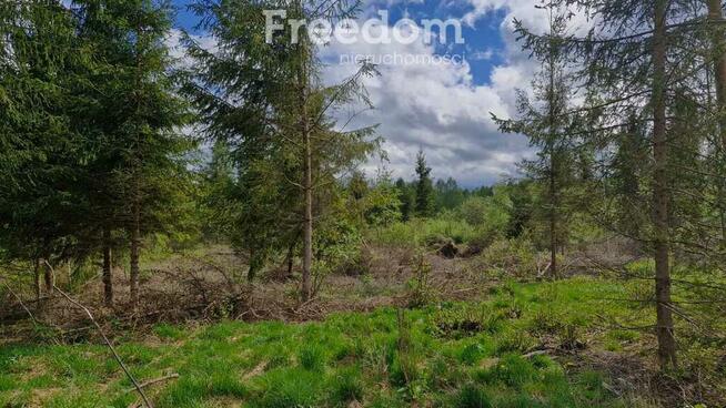 Twoje miejsce ciszy–750m od jeziora Warmia Mazury