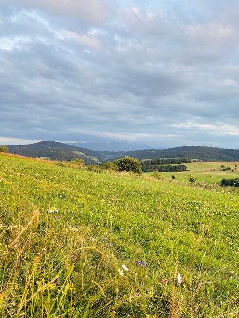 Działka rolna- Łapsze Wyżne- Nowy Targ- Podhale