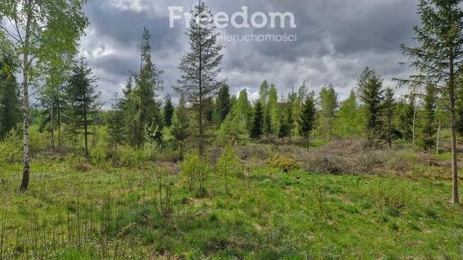 Malownicza działka 750m od jez Narie Warmia Mazury