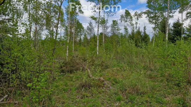 Malownicza działka 750m od jez Narie Warmia Mazury