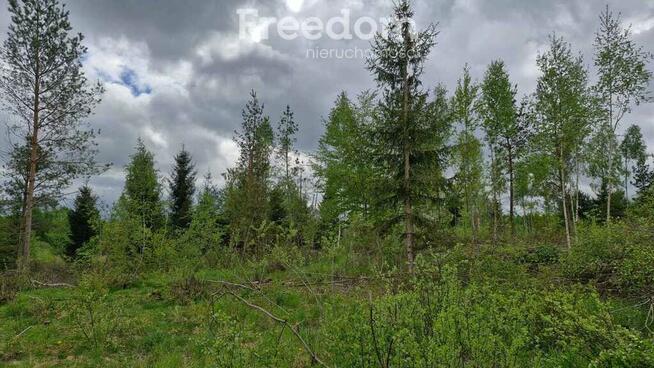 Malownicza działka 750m od jez Narie Warmia Mazury