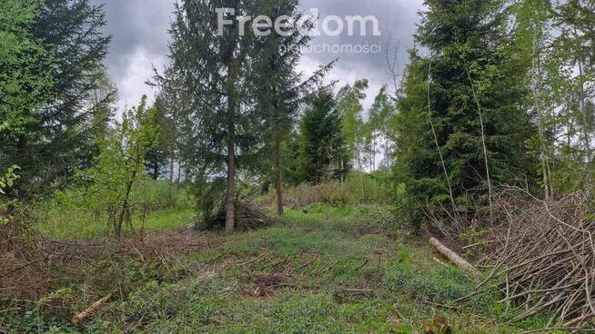Malownicza działka 750m od jez Narie Warmia Mazury