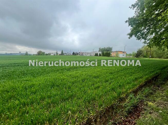 Działka Jastrzębie-Zdrój Borynia, Plebiscytowa