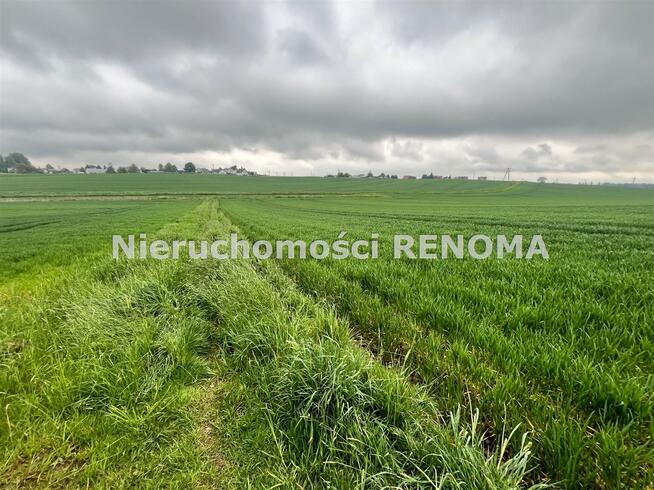 Działka Jastrzębie-Zdrój Borynia, Plebiscytowa