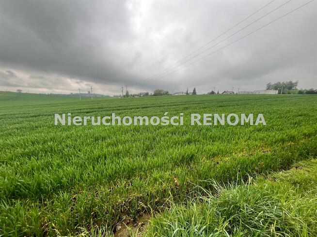 Działka Jastrzębie-Zdrój Borynia, Plebiscytowa