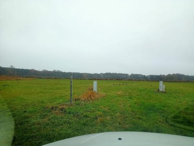 Działka 3000m2 tylko 50000zł