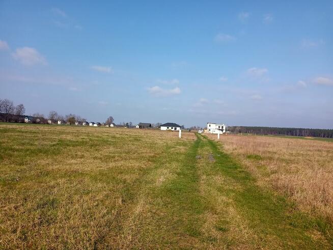 Działka 3000m2 tylko 50000zł
