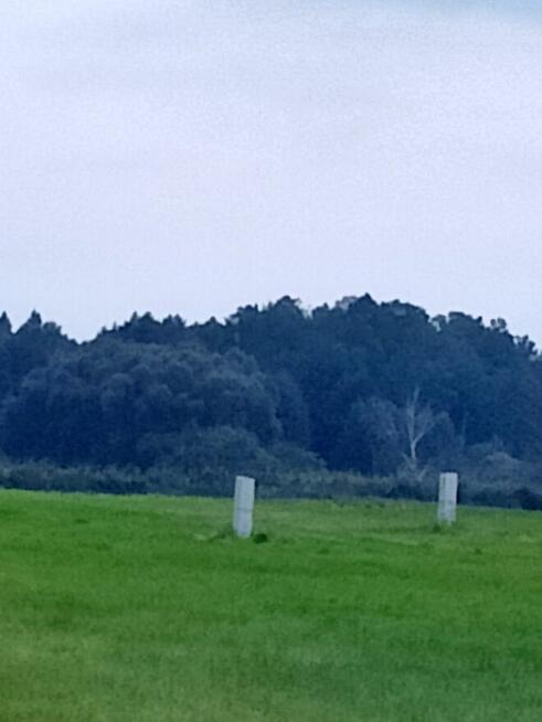 Działka 3000m2 tylko 50000zł