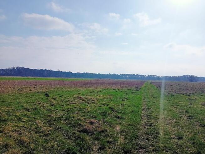 Działka 3000m2 tylko 50000zł
