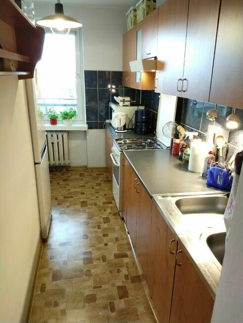 Pokój do wynajęcia bez pośredników