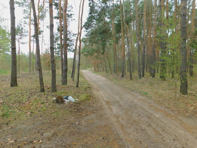 Syndyk sprzeda - Radom, ul. Andersena