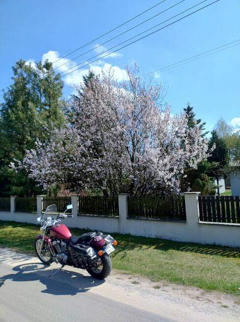 Sprzedam motocykl HONDA VT 600