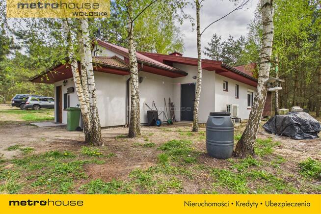 2 domy 168 m² + domek + las na działce 6,73 ha !!!