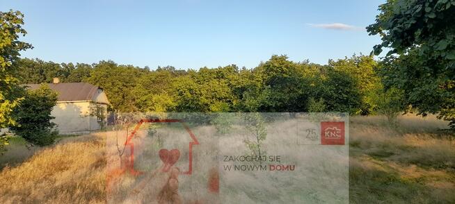 Ładna, uzbrojona działka pod lasem-33a-Wilczopole