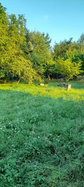 Ładna, uzbrojona działka pod lasem-33a-Wilczopole