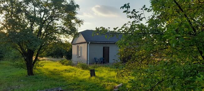 Ładna, uzbrojona działka pod lasem-33a-Wilczopole