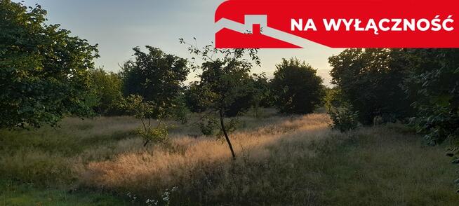 Ładna, uzbrojona działka pod lasem-33a-Wilczopole