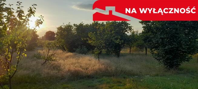Ładna, uzbrojona działka pod lasem-33a-Wilczopole