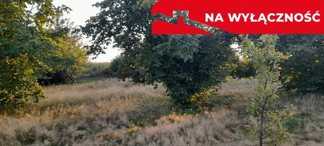 Ładna, uzbrojona działka pod lasem-33a-Wilczopole