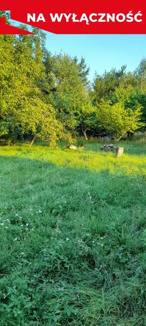 Ładna, uzbrojona działka pod lasem-33a-Wilczopole