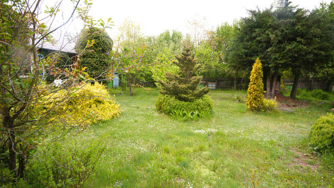 Siedlisko, inwestycja, 1.62ha