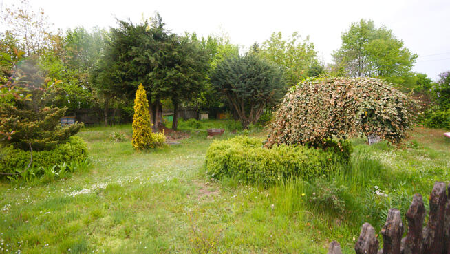 Siedlisko, inwestycja, 1.62ha