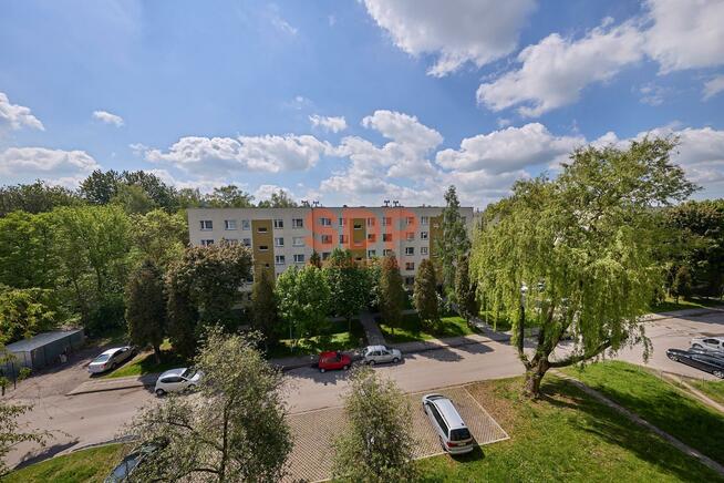 Mieszkanie Sosnowiec, Biała Przemsza