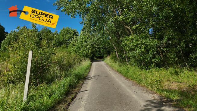 Działka rolna Odrzykoń gm. Wojaszówka,