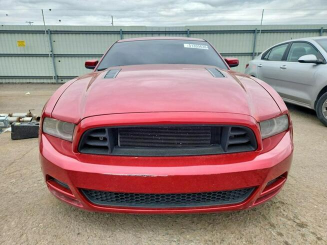 Ford Mustang 5.0 V8 / bogate wyposażenie /