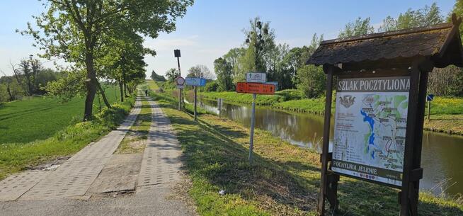 Działka Jelonki gmina Rychliki Warmińsko-mazurskie