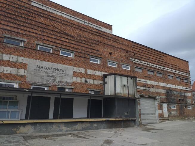 Sprzedam hale, magazyny, lokale biurowe 12815 m2